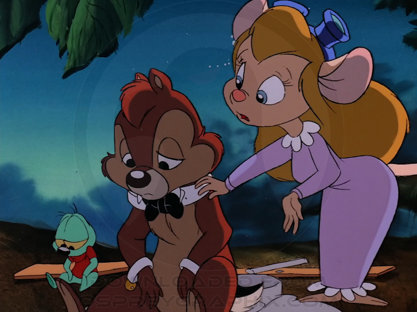 Chip 'n Dale Rescue Rangers - Gadget's Nightgown.